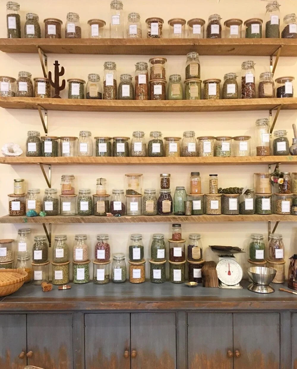 herbalapothecary.jpeg