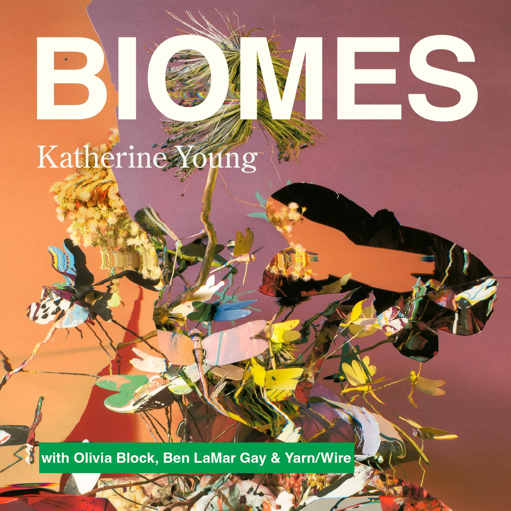 Biomes Cover (1).jpg