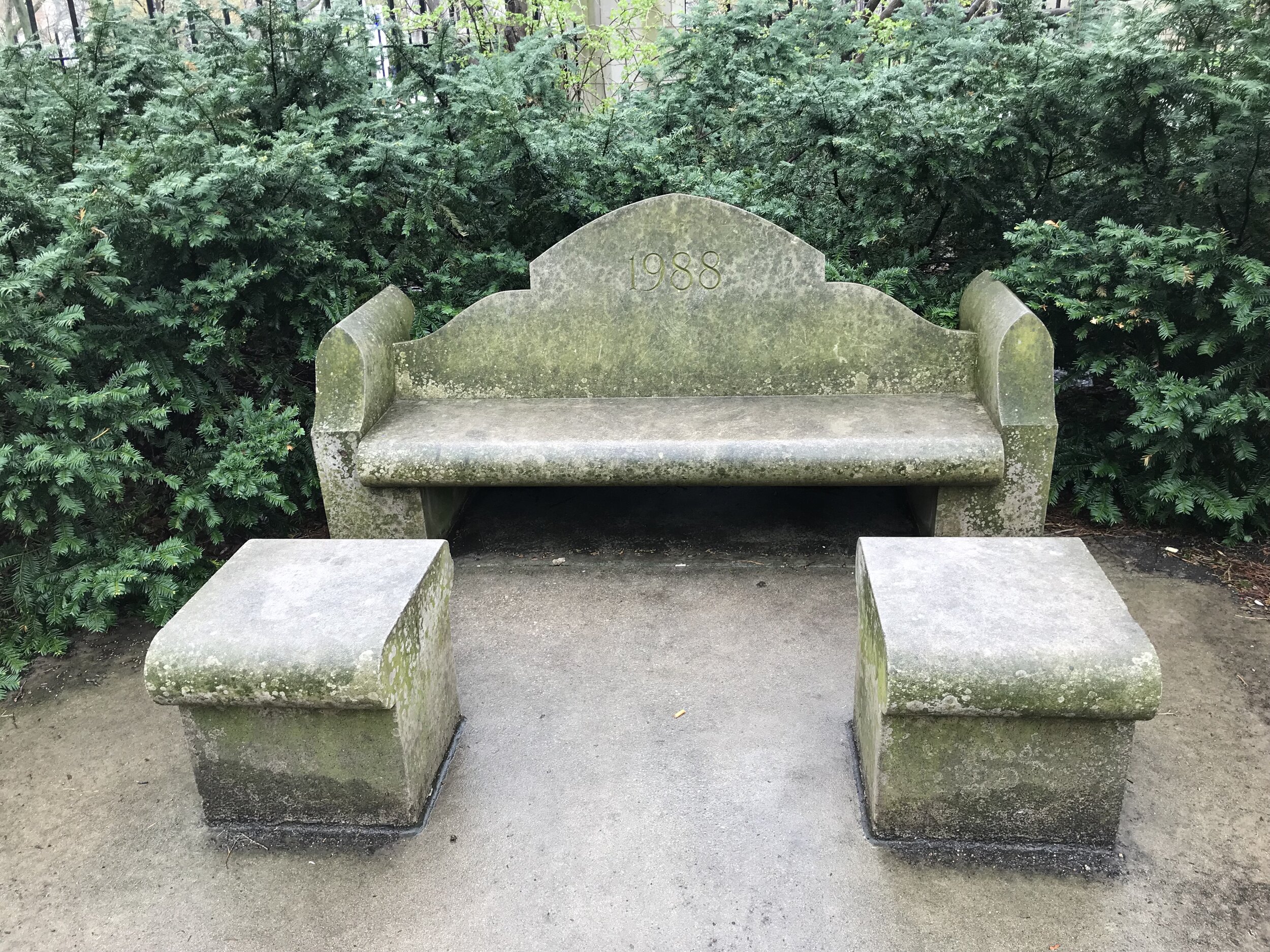 Bench beside the U of C Botany Pond.JPG