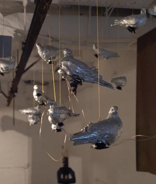 display_final9 copy.jpg