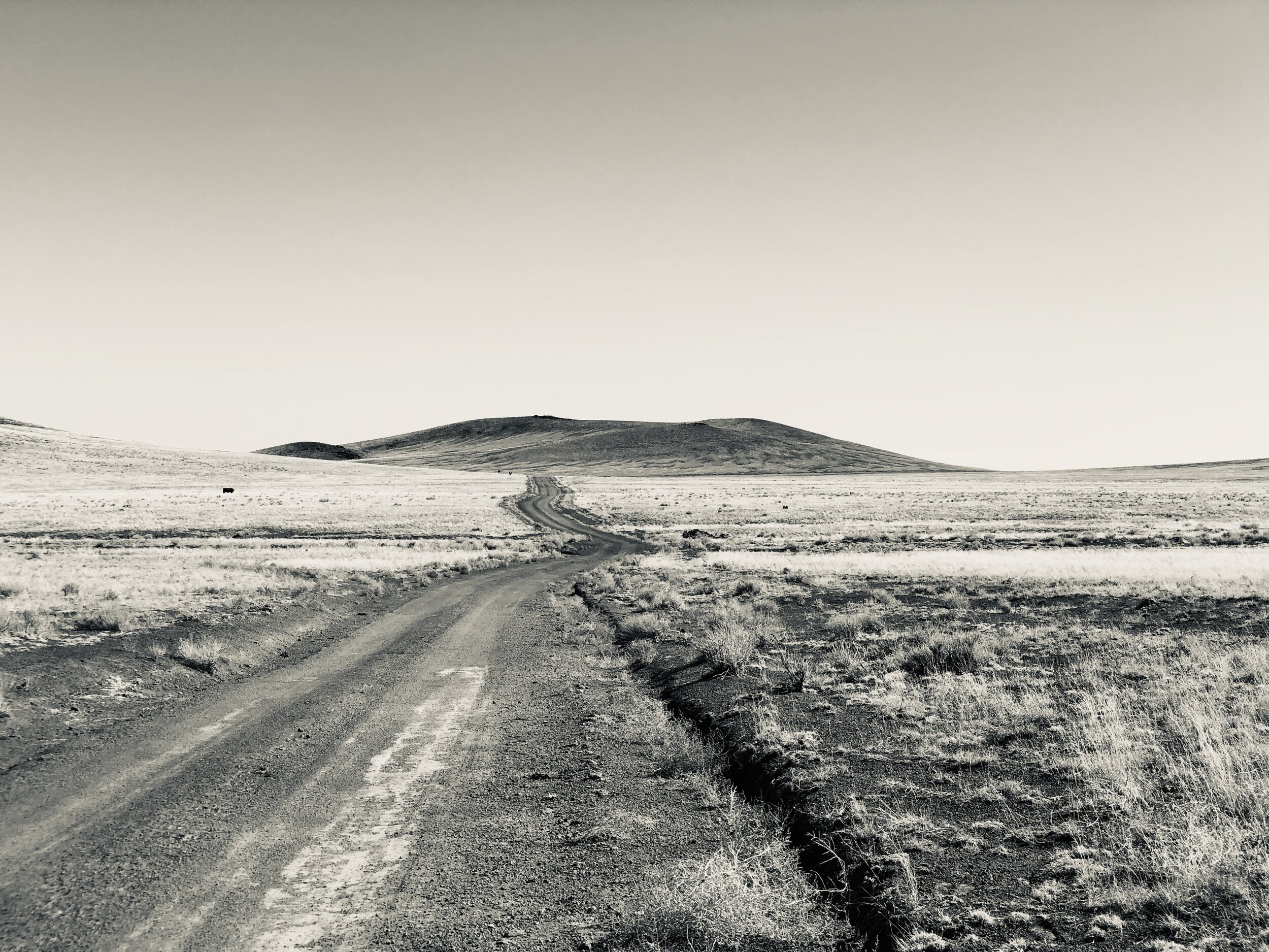 A83A3D65-647D-40D6-98F7-3FA7AFB4243F_1_201_a.jpeg