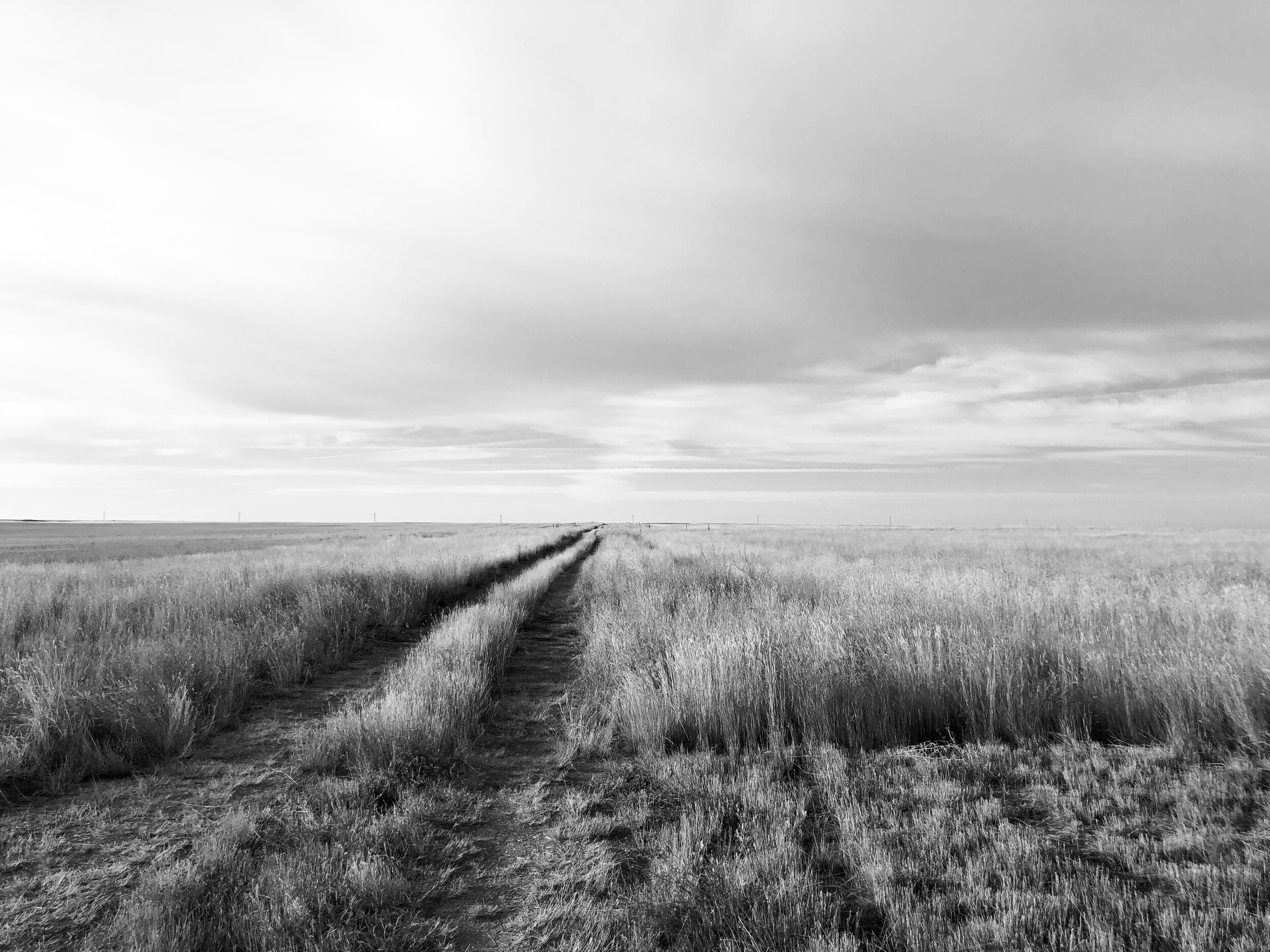DE8B5047-4D5E-49D5-9030-50EEE99EBA07_1_201_a.jpeg