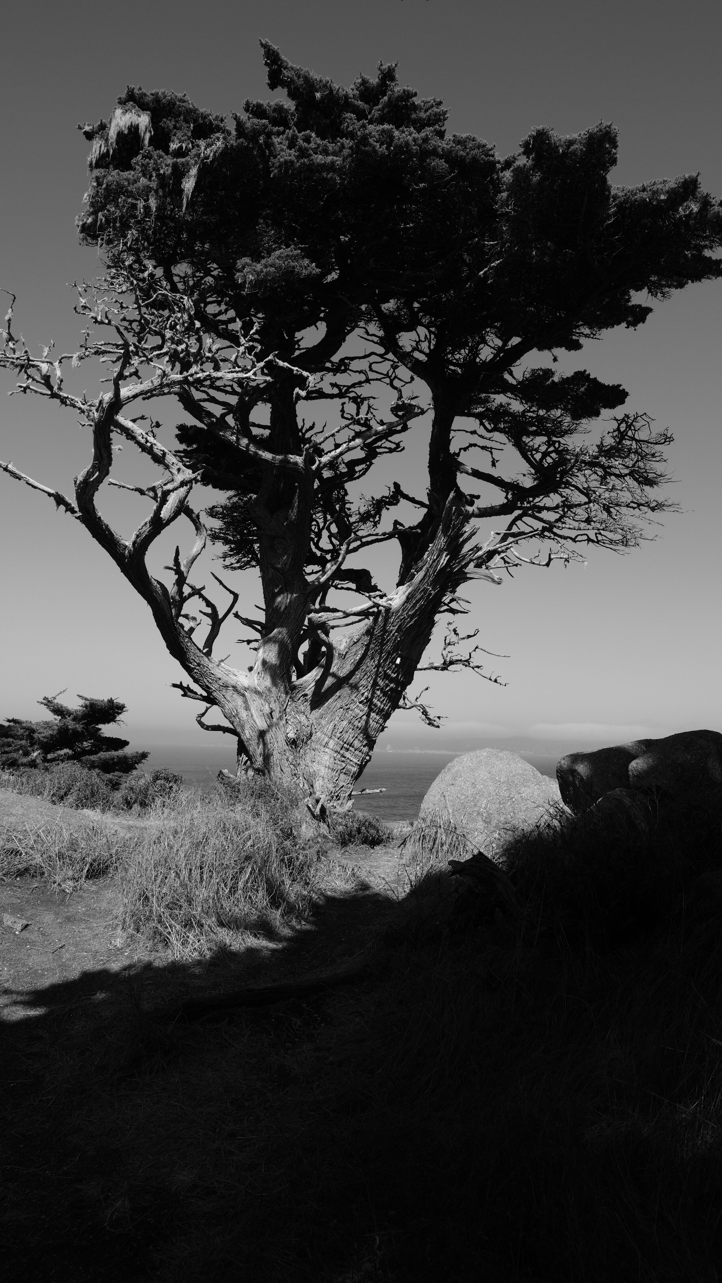 90142874-DE16-4F1E-BF7F-0F0A1F175AB8.jpeg