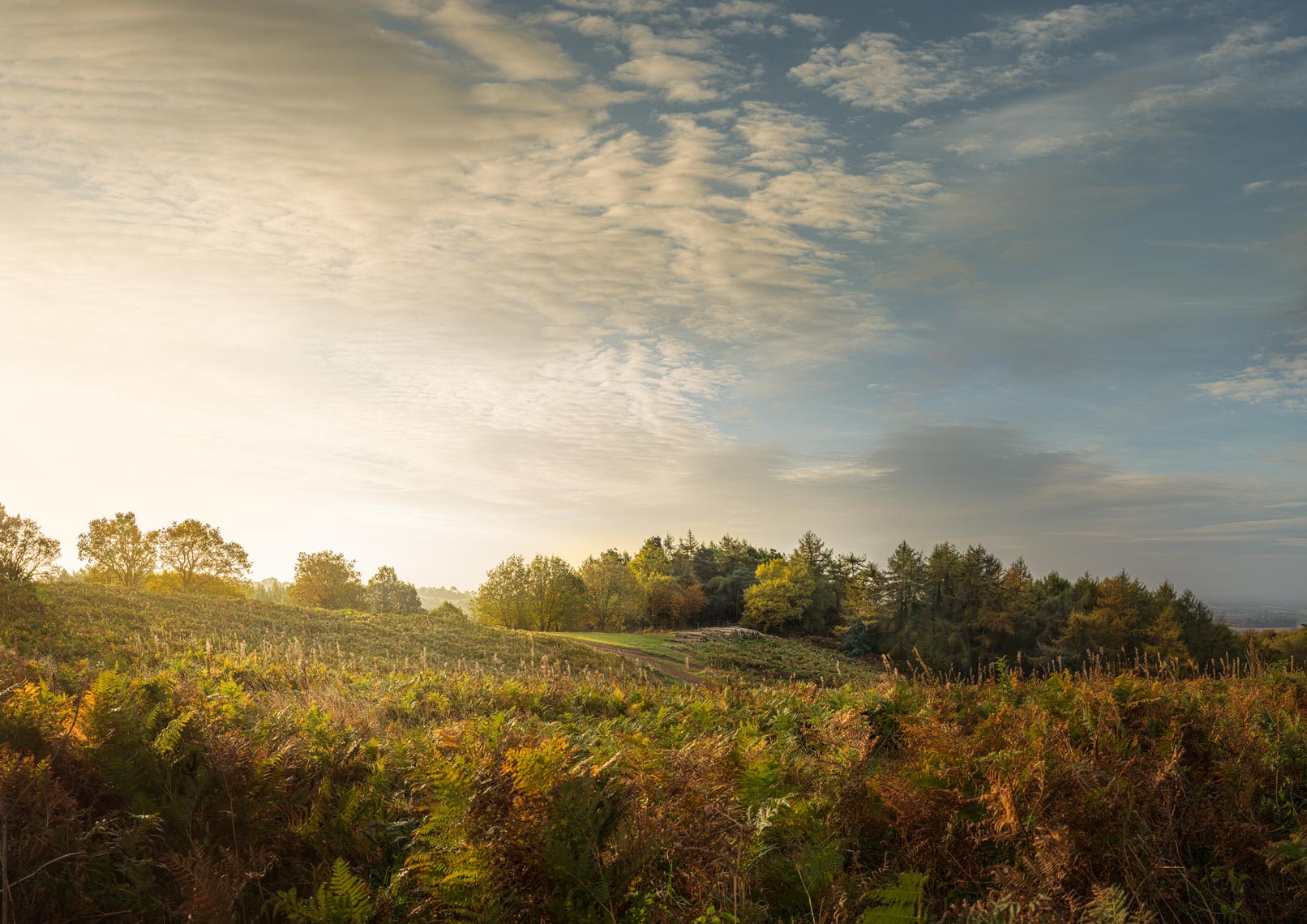 Clent Hills, UK.