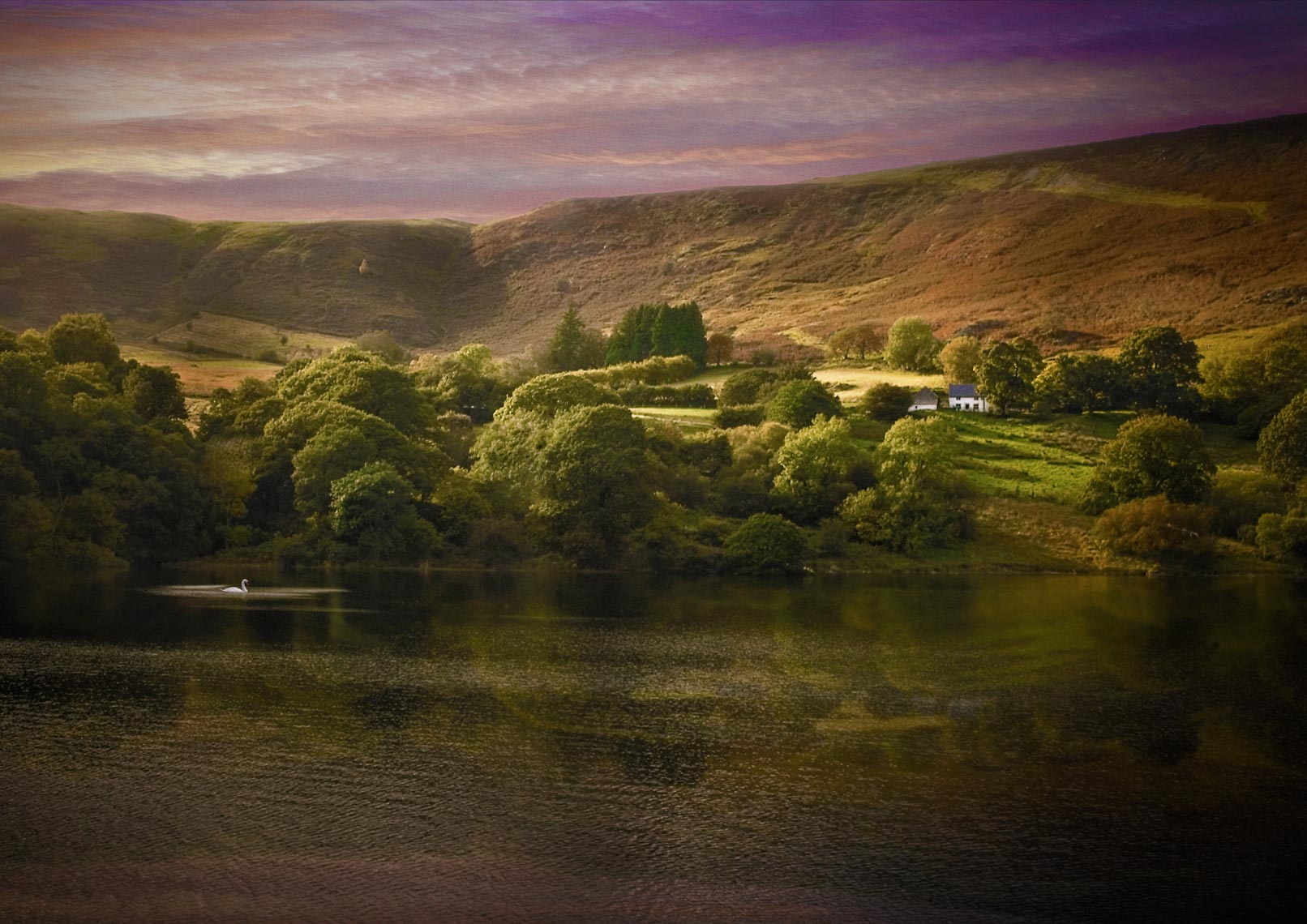 Elan Valley, Wales. UK.