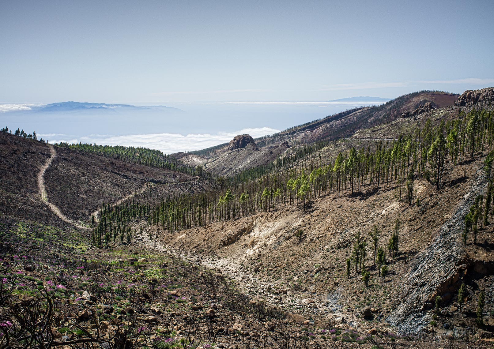 Mt Teide National Park, Tenerife.