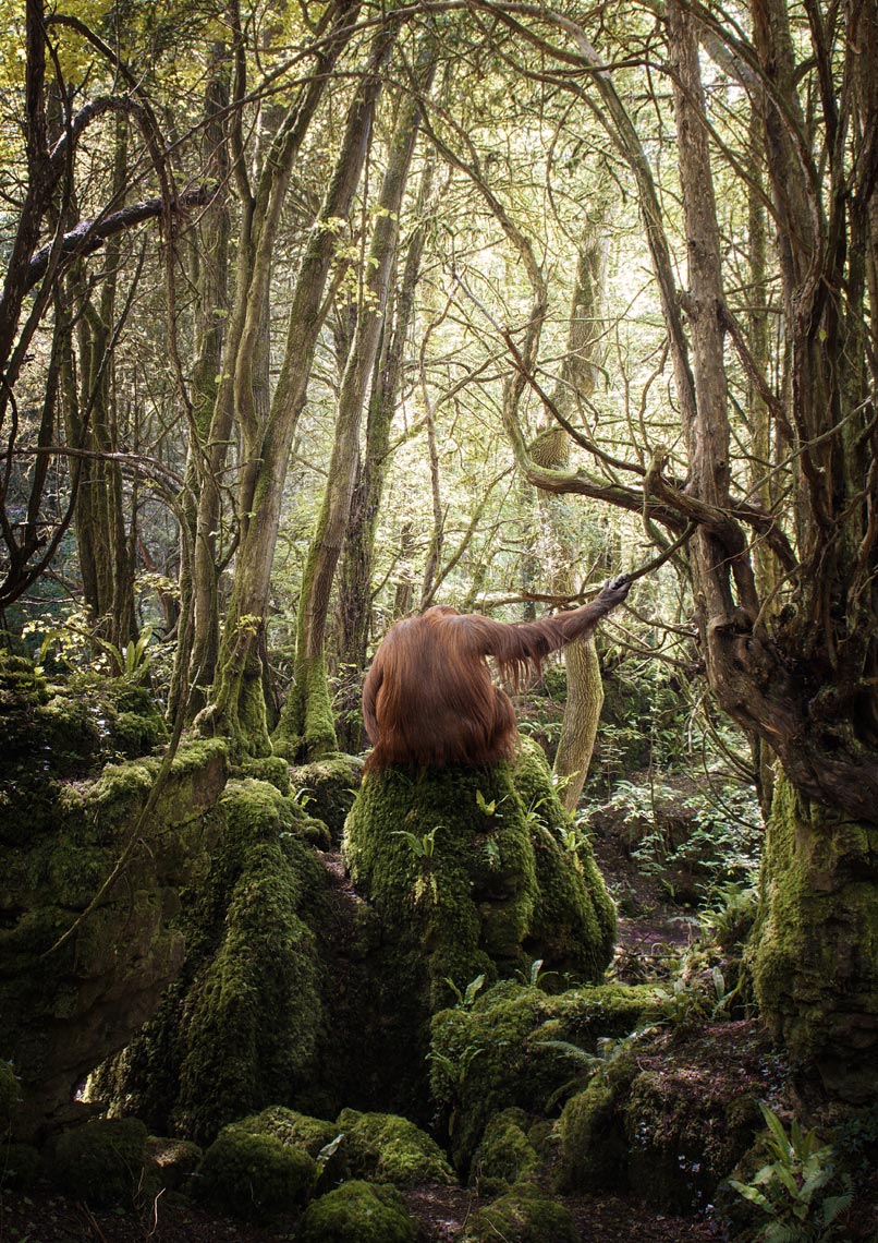 Orangutan Holding Branch