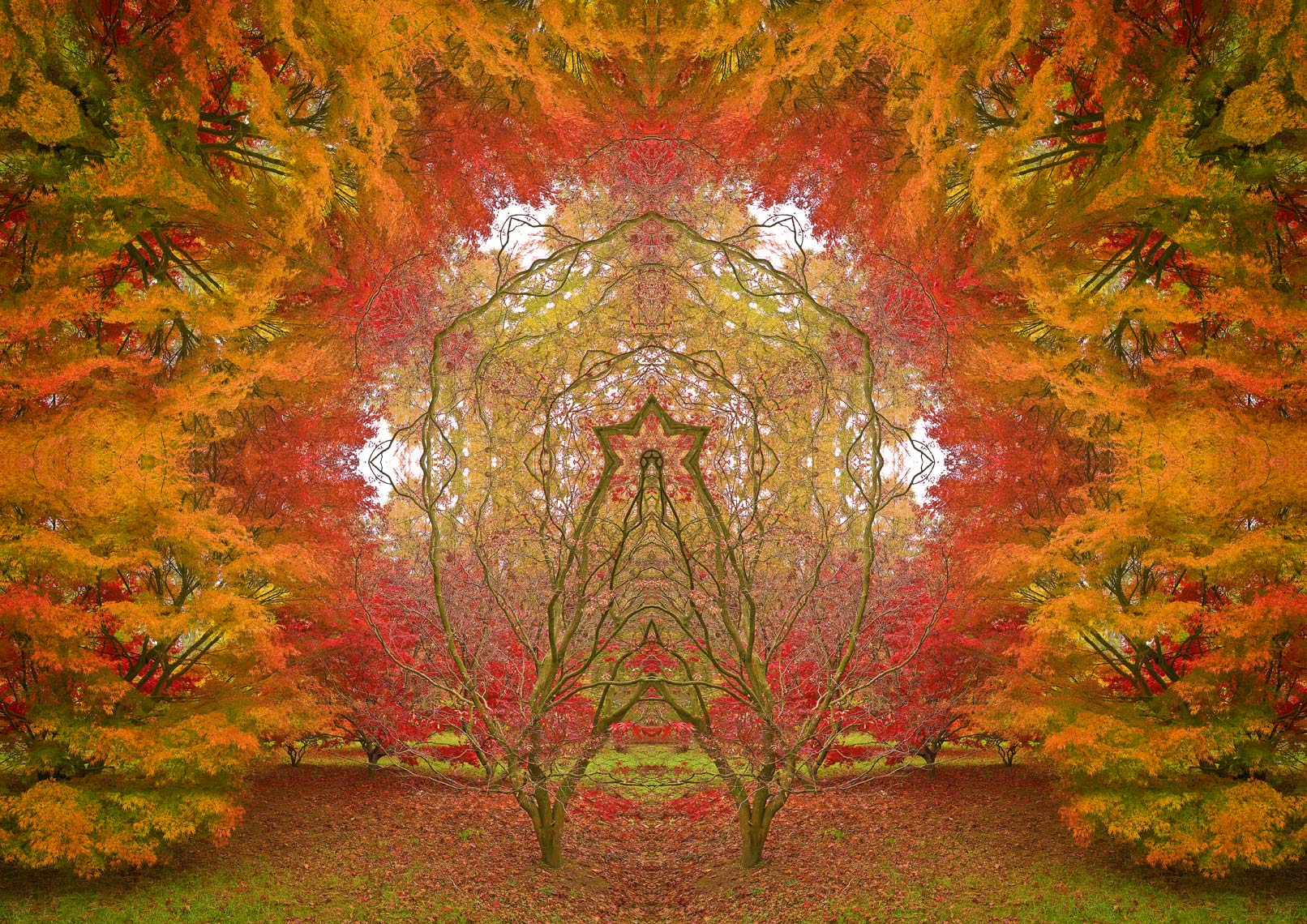 Autumn Portal 8