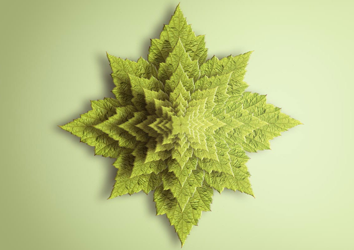 Spiky Leaf Fractal