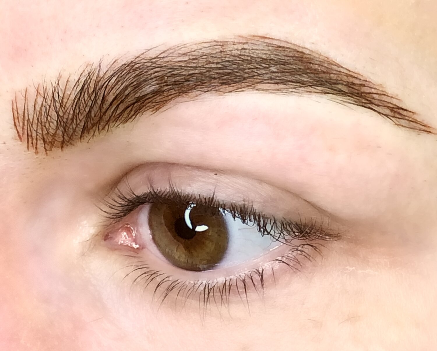 har taget fejl Ofte talt Zealot Permanent Makeup Eyebrows | Eyebrow Tattoo | 3D Brows | San Fransisco —  Infinite Beauty Studio | Top Rated Microblading | Permanent Makeup | SF San  Francisco | Microneedling
