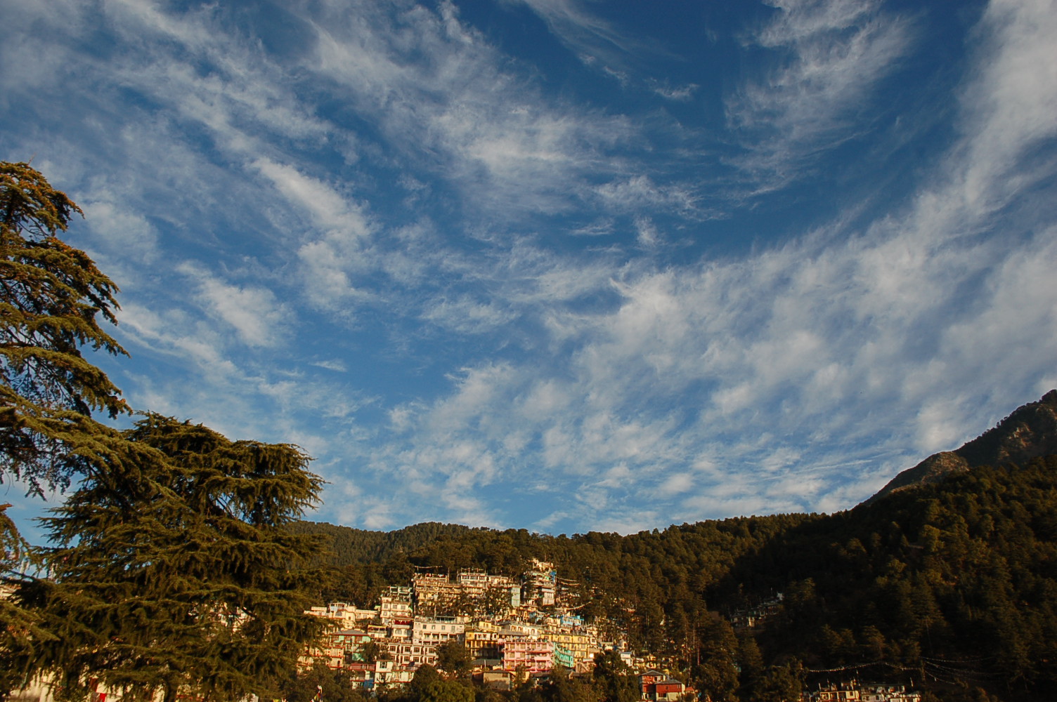 6_Dharamsala_DSC_0306_2.jpg