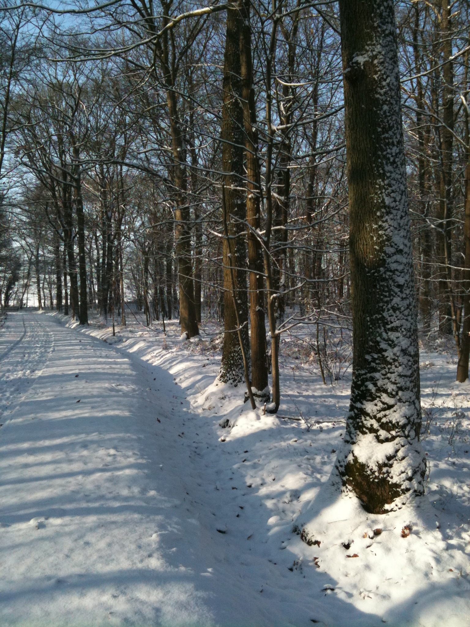 IMG_0243.jpg