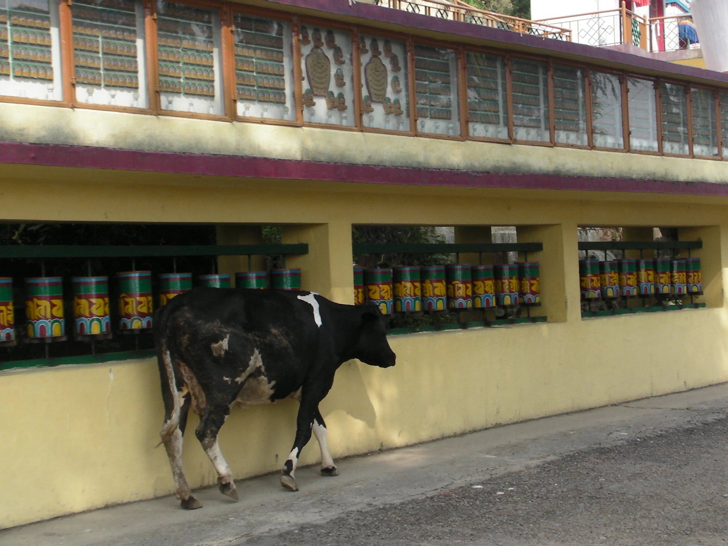 SANY0390.jpg