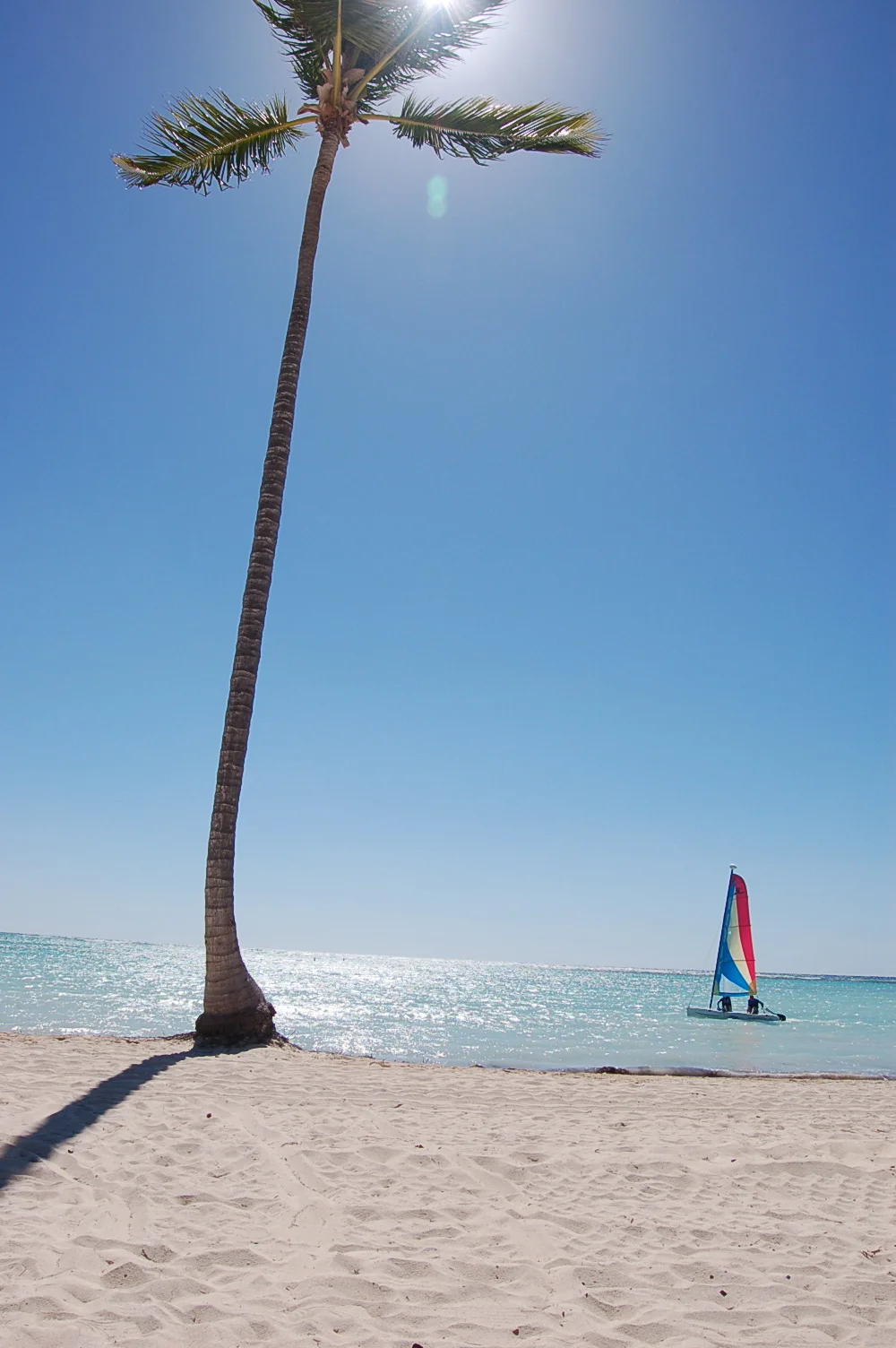 DSC_0961.jpg