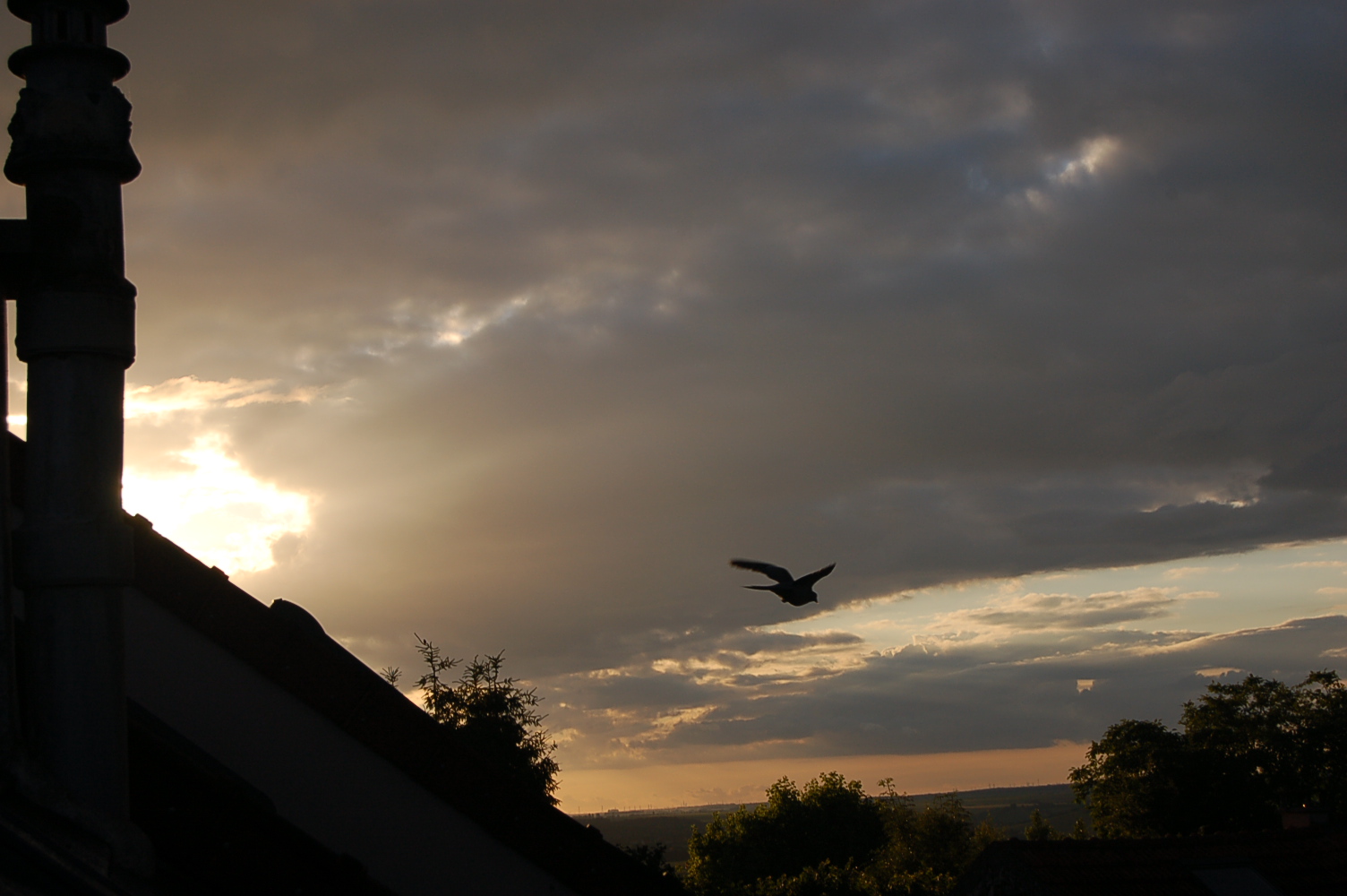DSC_1080.jpg