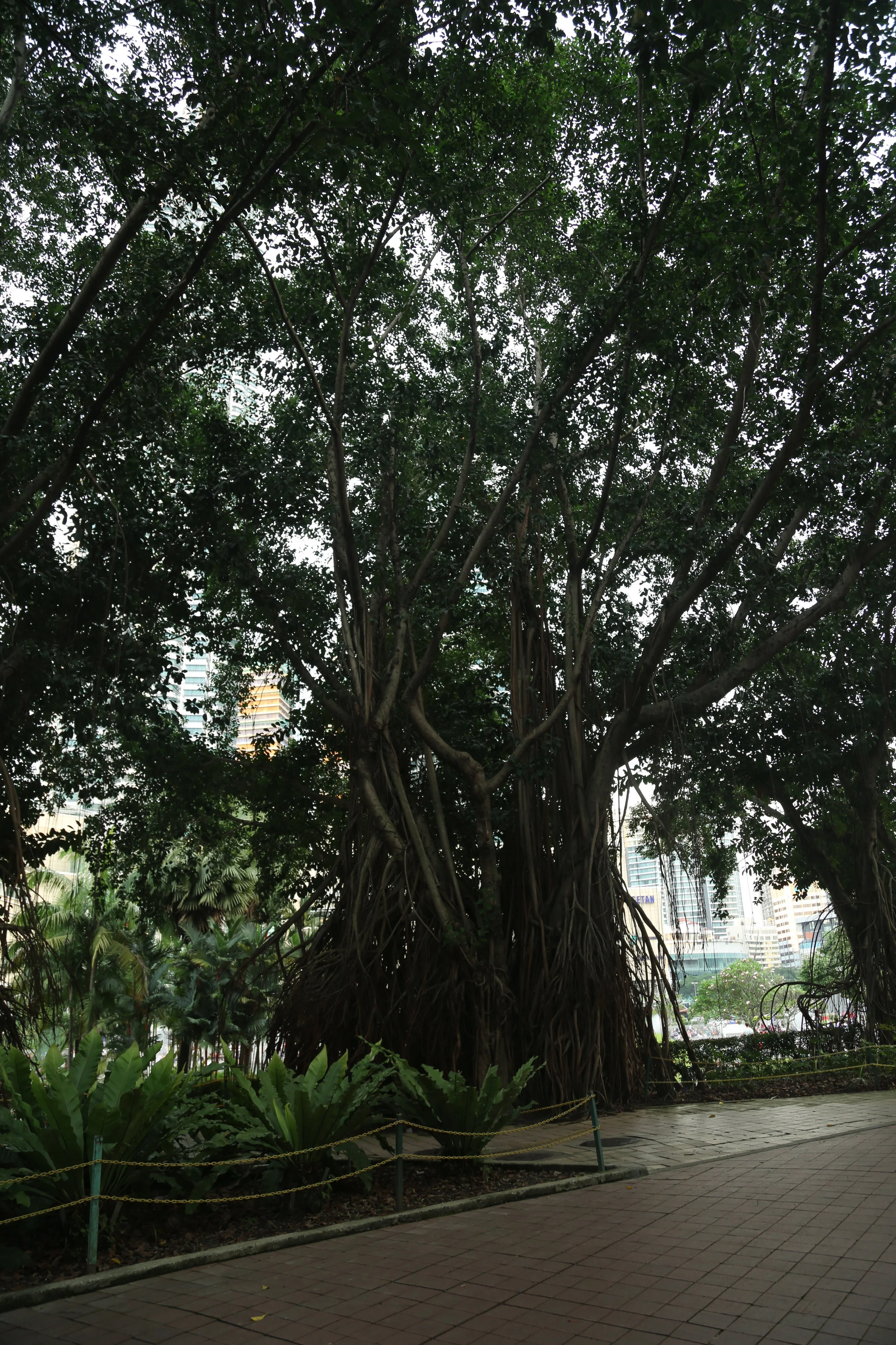 786A5431.jpg