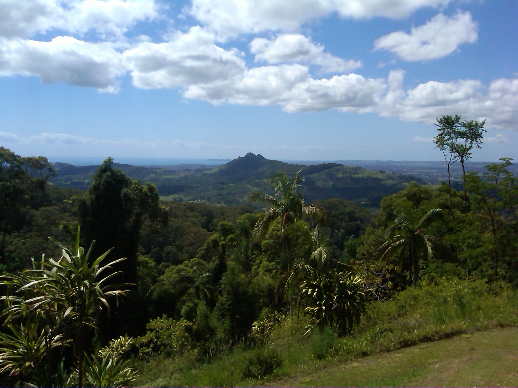 IMG-20131207-00719.jpg