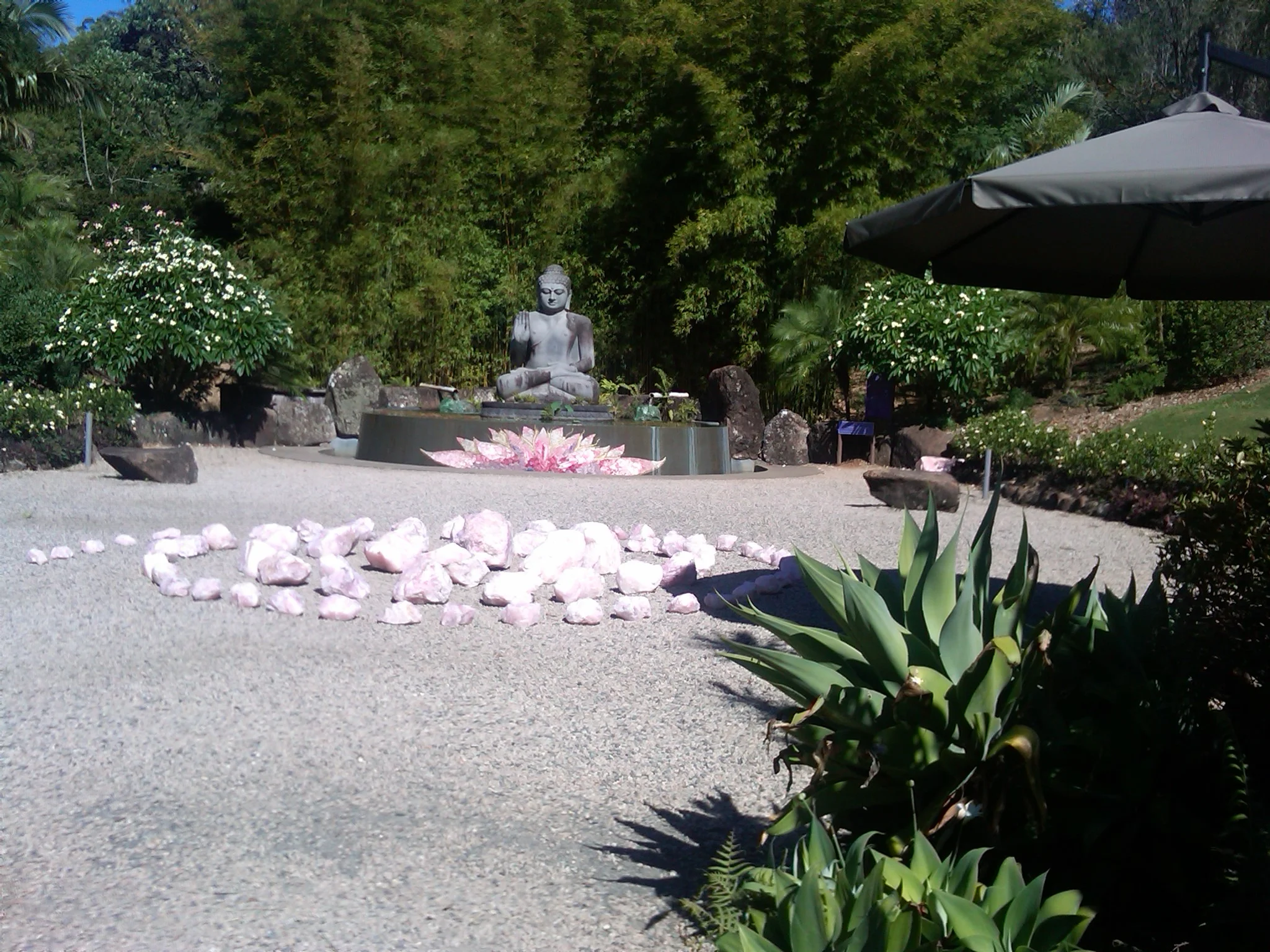 IMG-20131208-00744.jpg