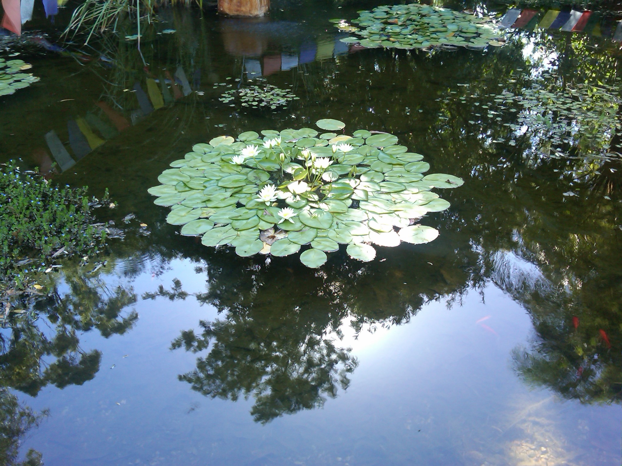 IMG-20131208-00765.jpg