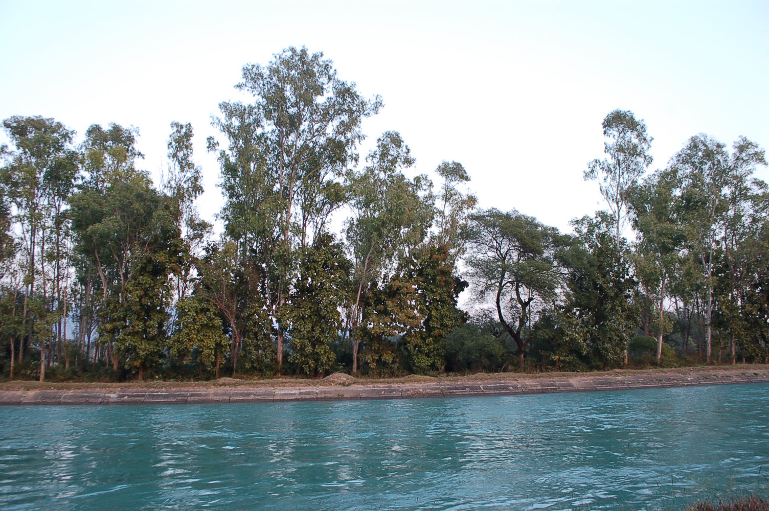 DSC_0015_3.jpg