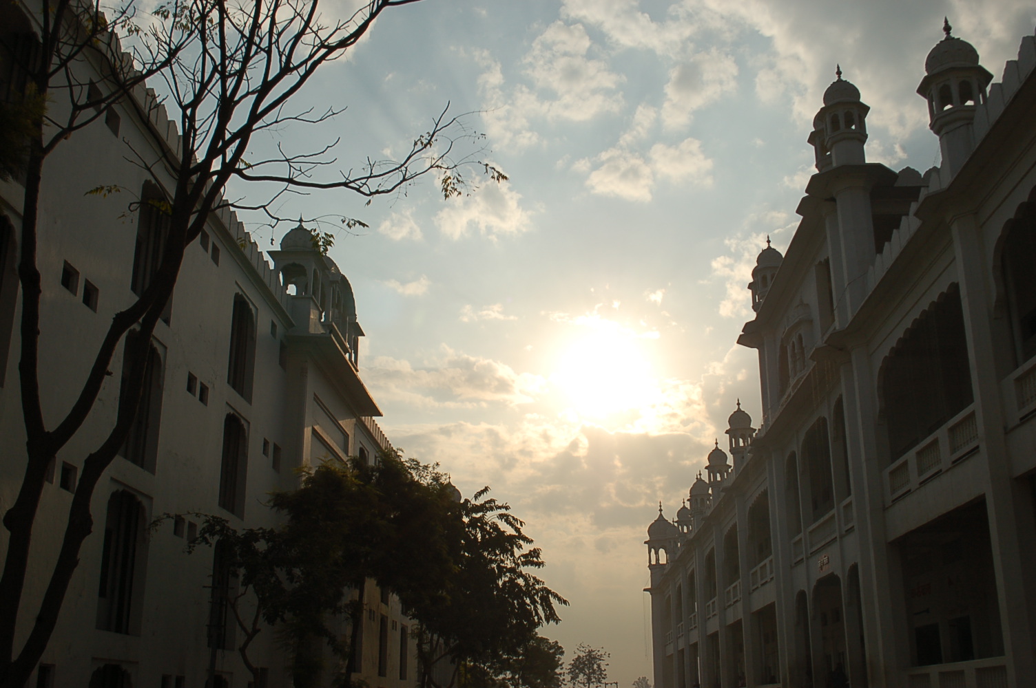 DSC_0939_2.jpg