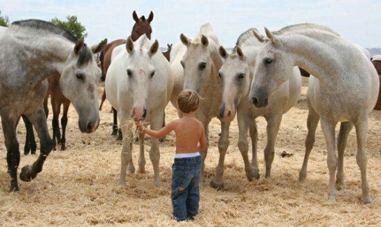horse-love-kid.jpg