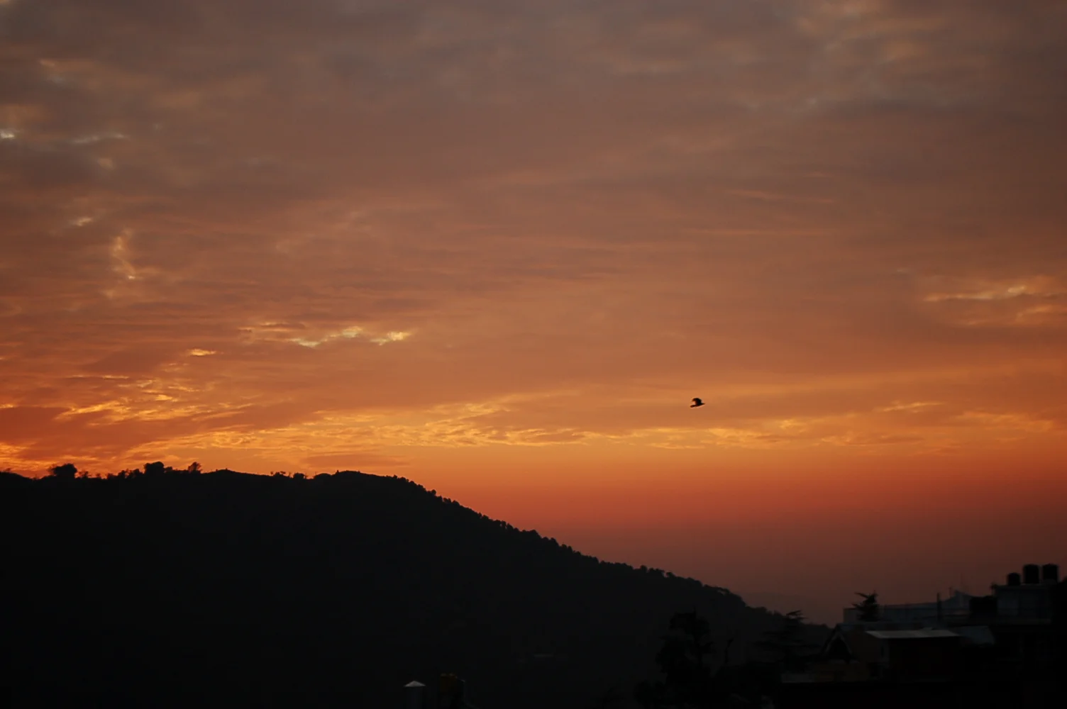 DSC_0657_2.jpg