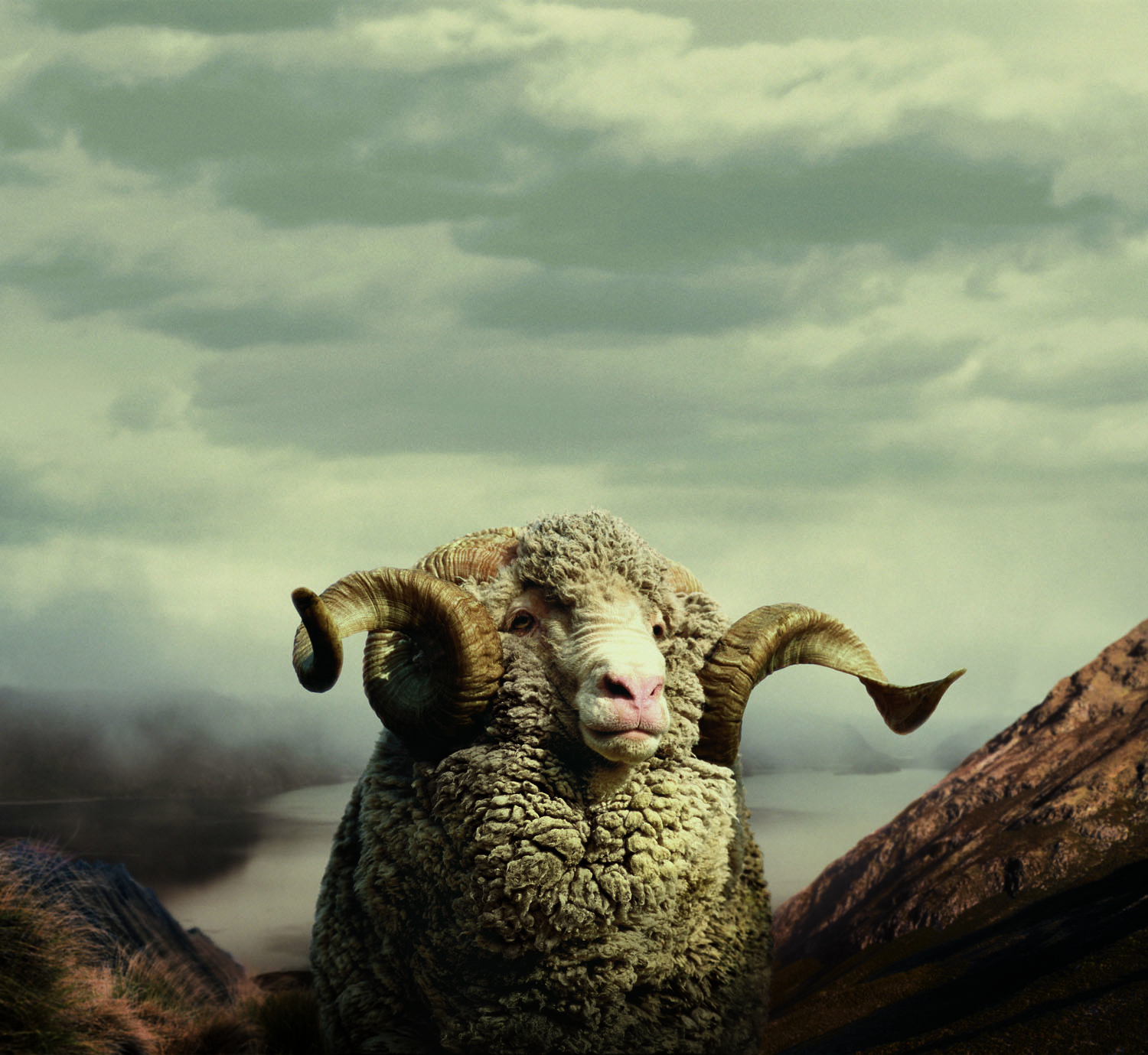 RAM-New-Moon.jpg