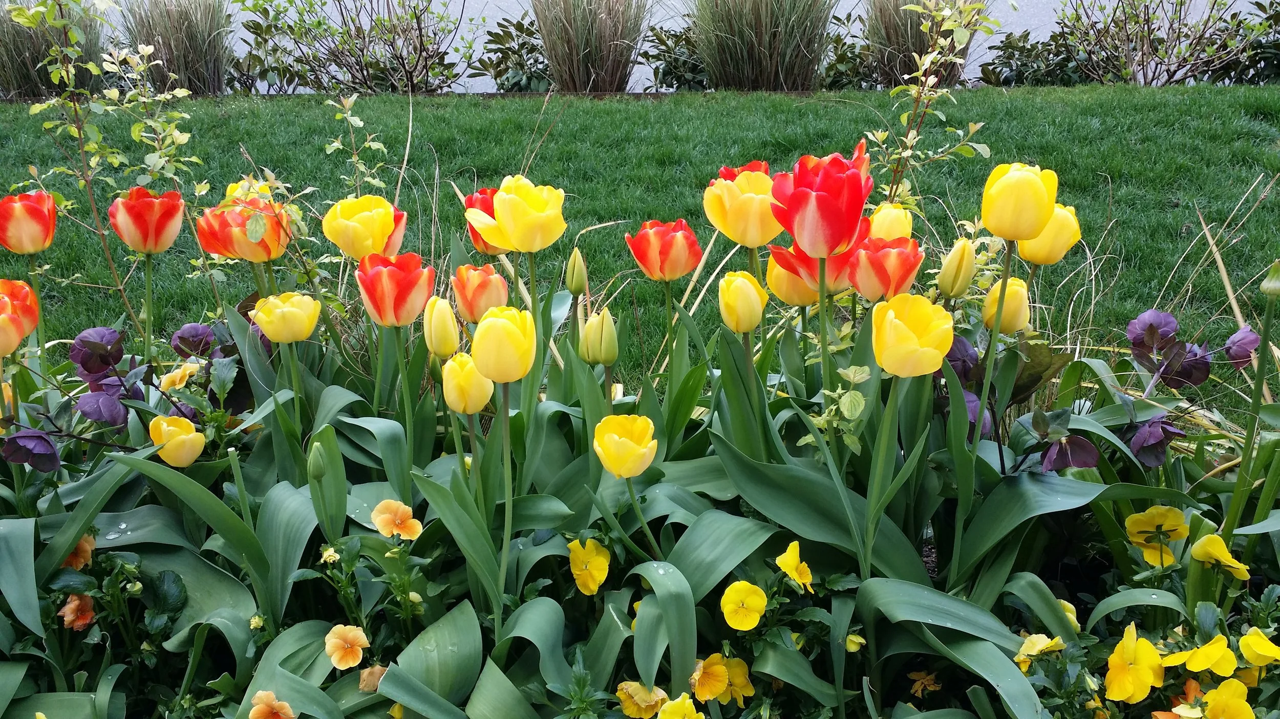 20140415_133640.jpg