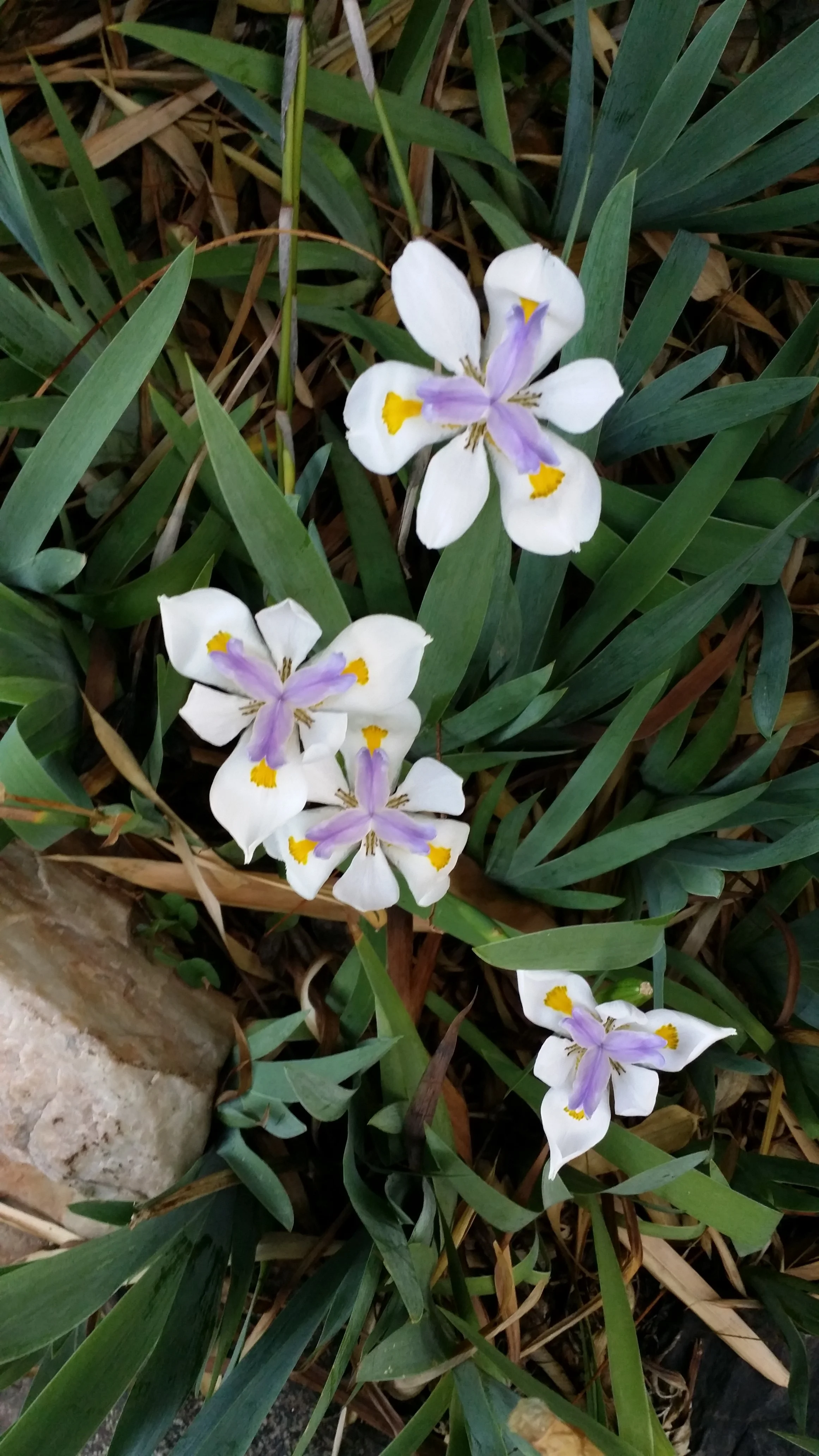 20140509_063735.jpg