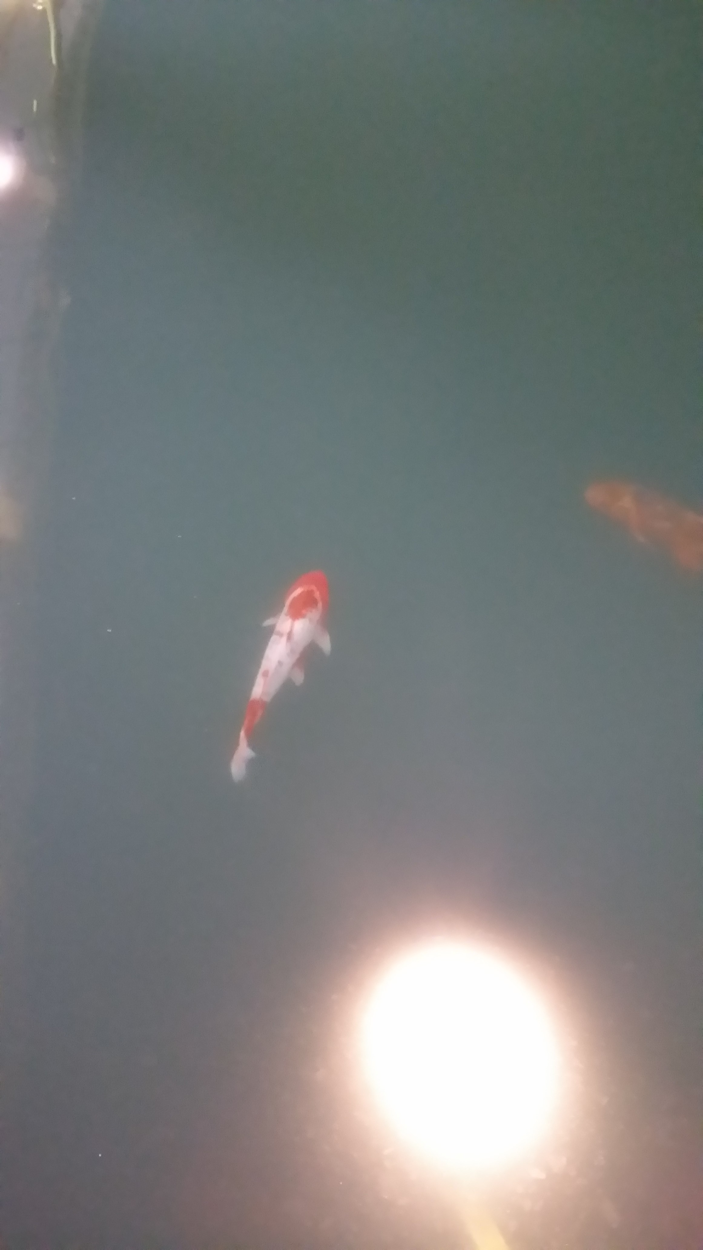 20141110_061551.jpg