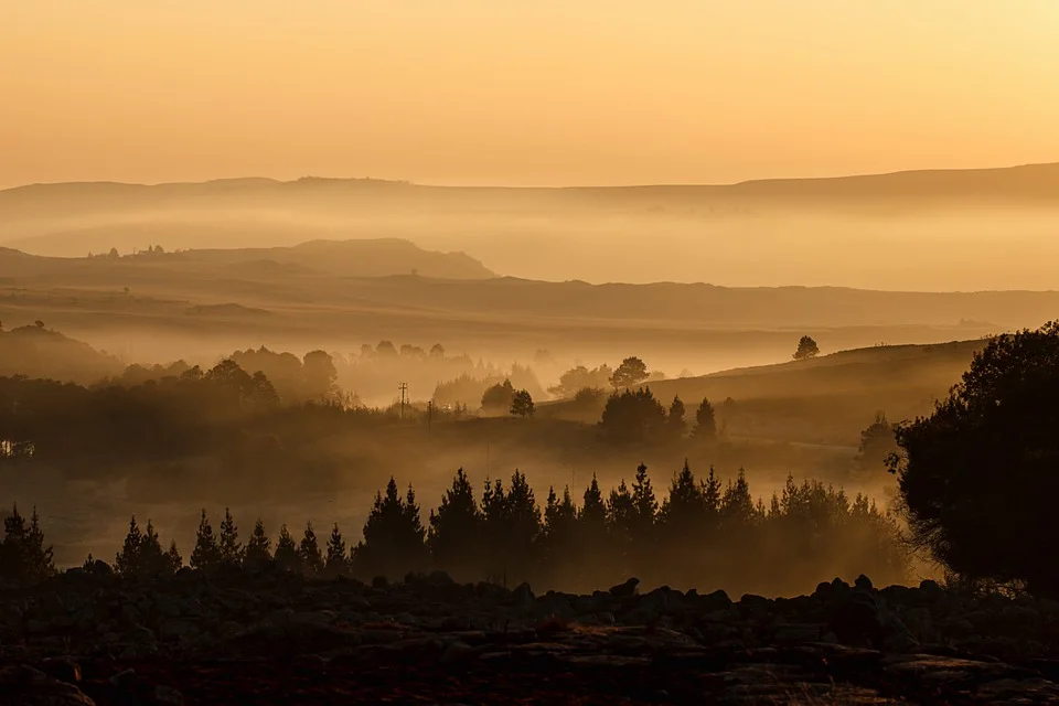 landscape-404072_960_720.jpg