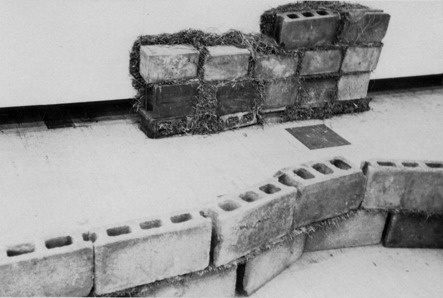 Units of Dependency , 1974 依存位 ( Izon’i ) Concrete blocks, grass imensions variable Installation view, Tamura Gallery, Tokyo, 1974 Photo: Kishio Suga