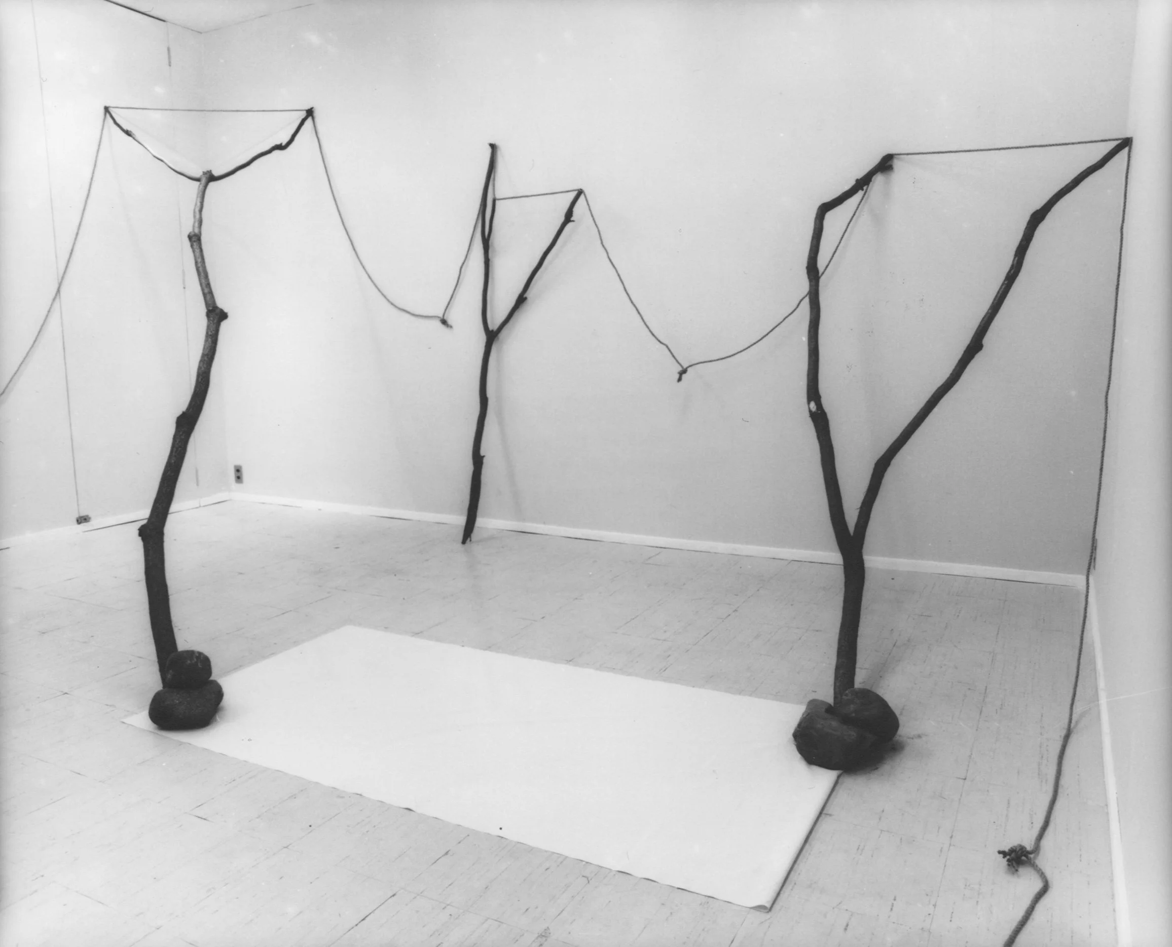 Continuous Existence , 1977 連界 ( Renkai ) Rope, branches, stones, paper Dimensions variable Installation view, Shin Tamura Gallery, Tokyo, 1977 Photo: Shigeo Anzaï