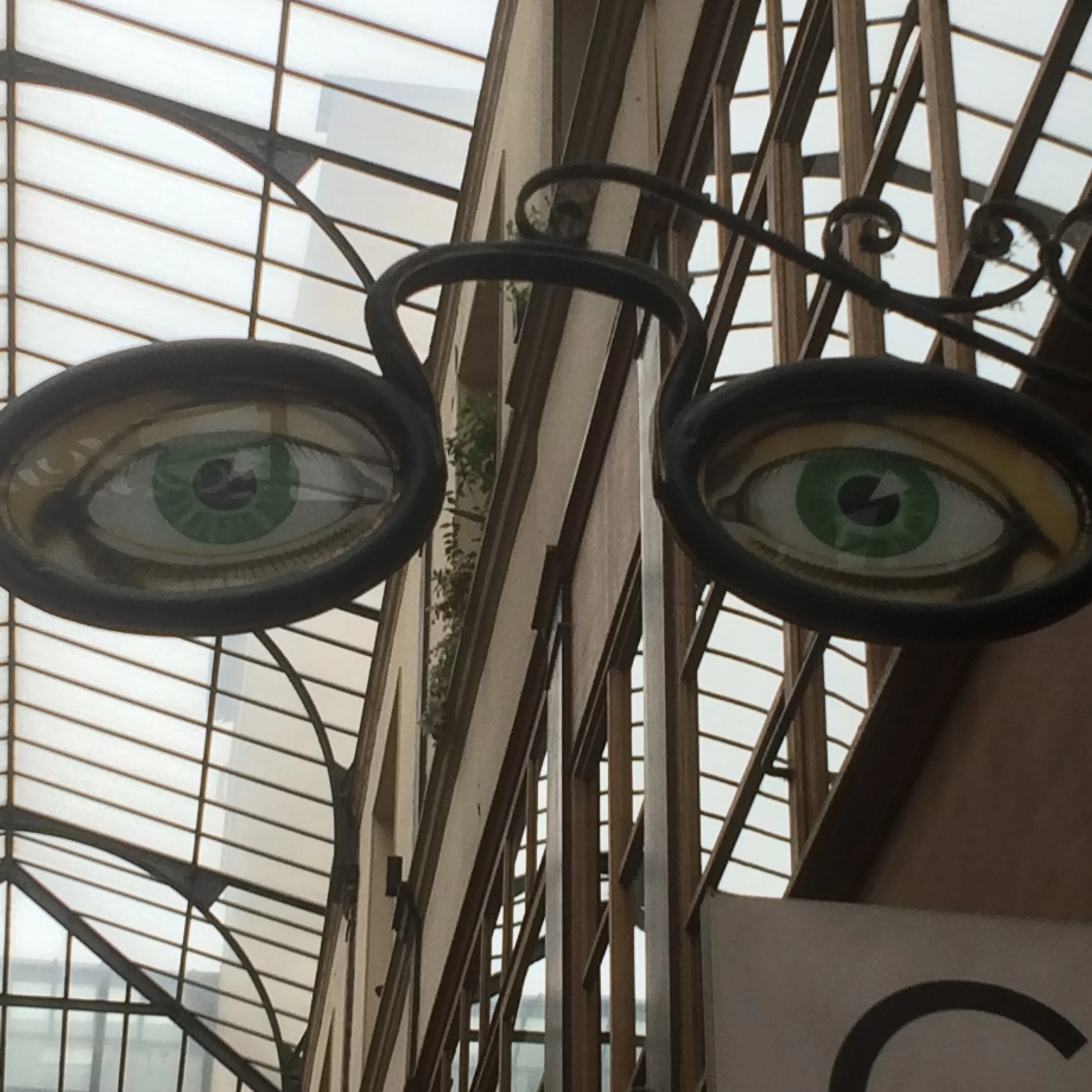 IMG_5426.JPG