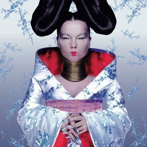 The striking cover for Björk's 1997 album, Homogenic