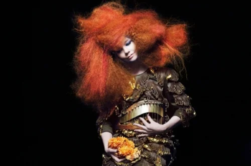 Biophilia saw Björk embrace new technologies to create her sound