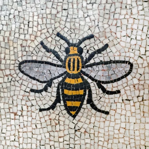 bee.jpg