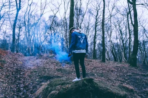 woods.jpeg