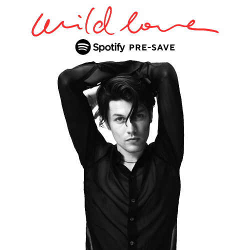 single.png