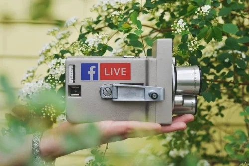 live.jpg