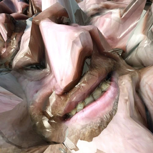 appp.jpg