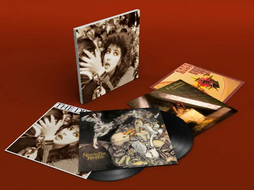 Blondie & Kate Bush CD セット 7枚 Blondie & Kate Bush CD セット 7枚 Blondie & Kate Bush CD