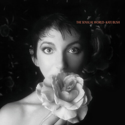 lyse Hævde Papua Ny Guinea FEATURE: Inside the Other Sides: Ten Brilliant Kate Bush B-Sides — Music  Musings & Such