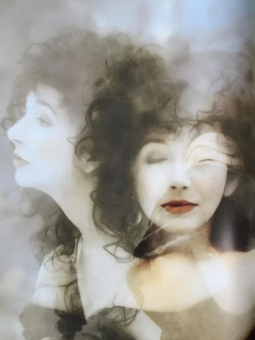 FEATURE: In the Warm Rooms: Kate Bush: The Private and the Personal