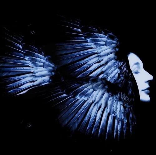 FEATURE: We Think You Are Really Cool…? Does Kate Bush Have the Necessary Pull to Appeal to Young Music Fans?