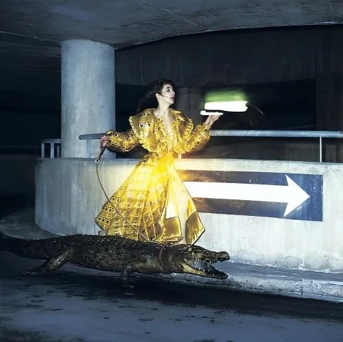 FEATURE: With a Kiss, I'd Pass the Key: Are There Any Kate Bush Artefacts in the Vaults?