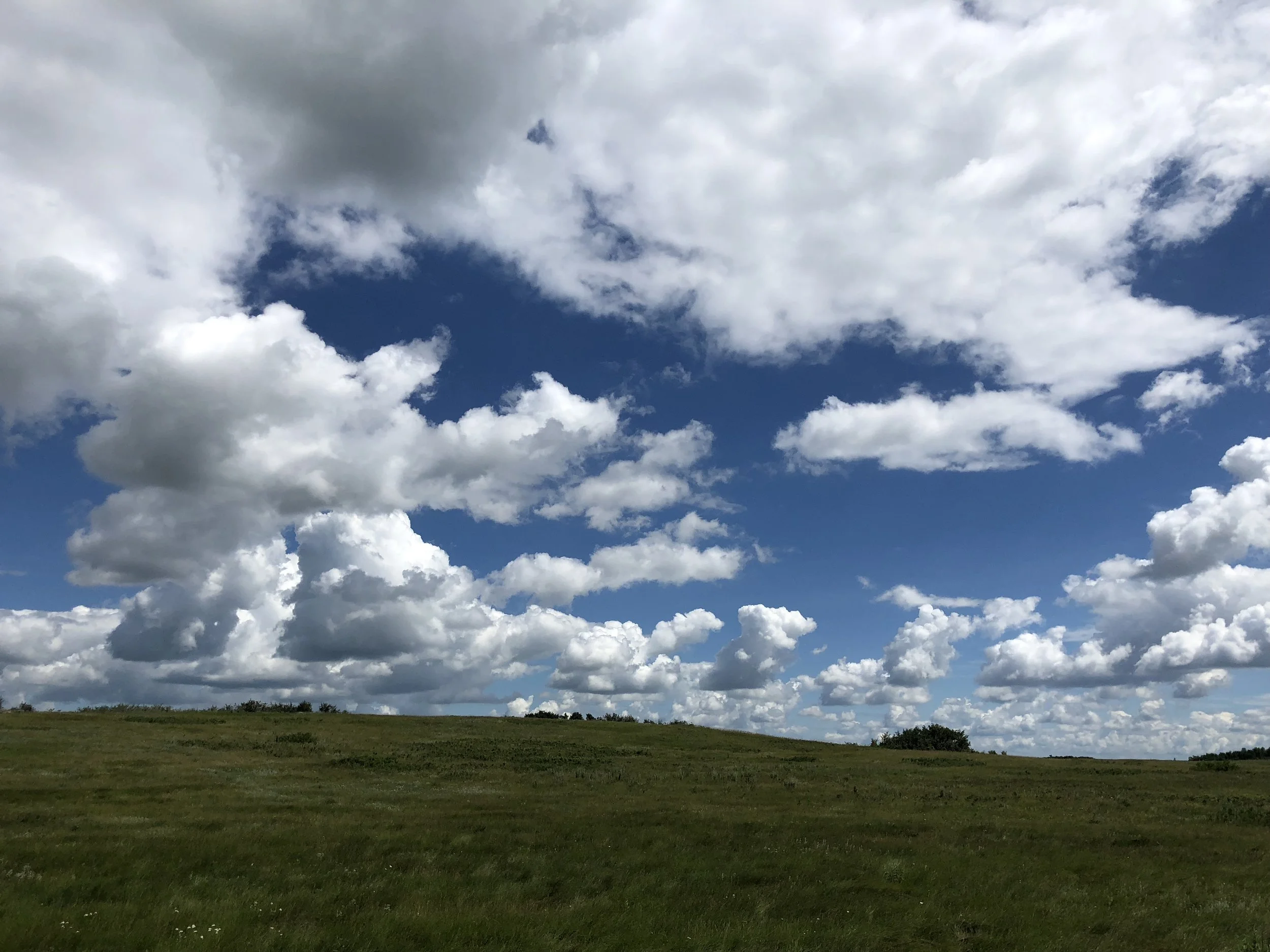 North Dakota rolling green hills blue sky and clouds