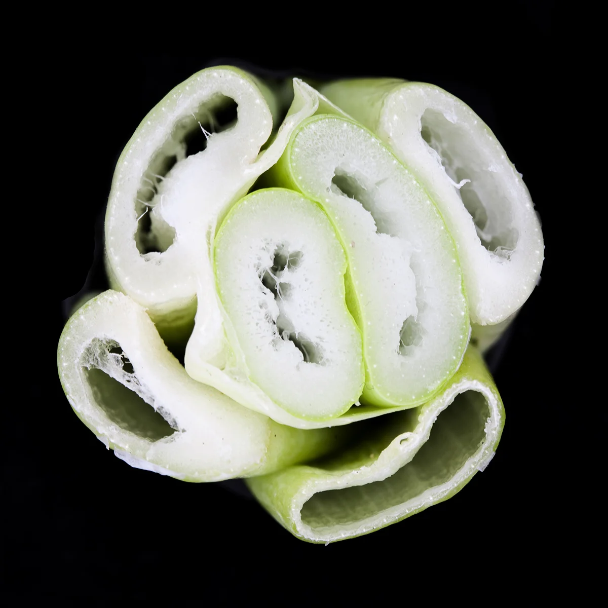 spring onion3 copy.jpg