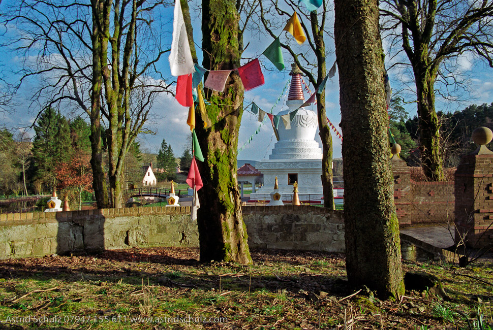 flags_and_stupa.jpg